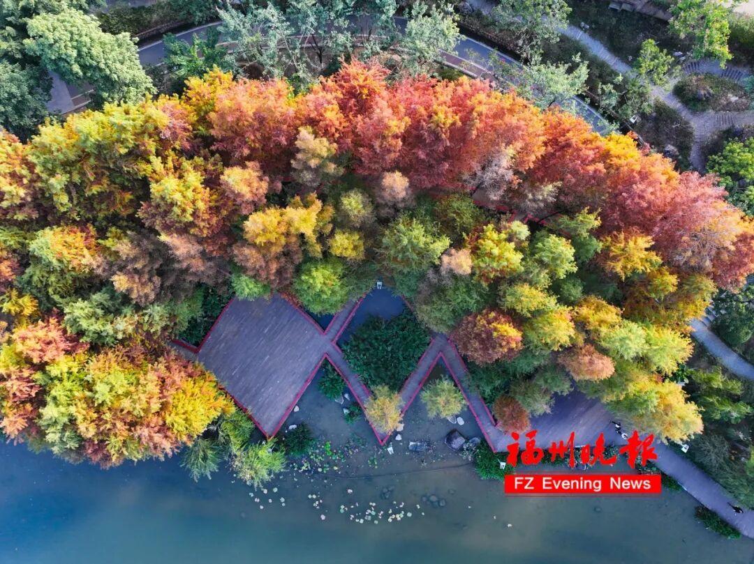 福州网红公园又火了！很多人正在赶去！