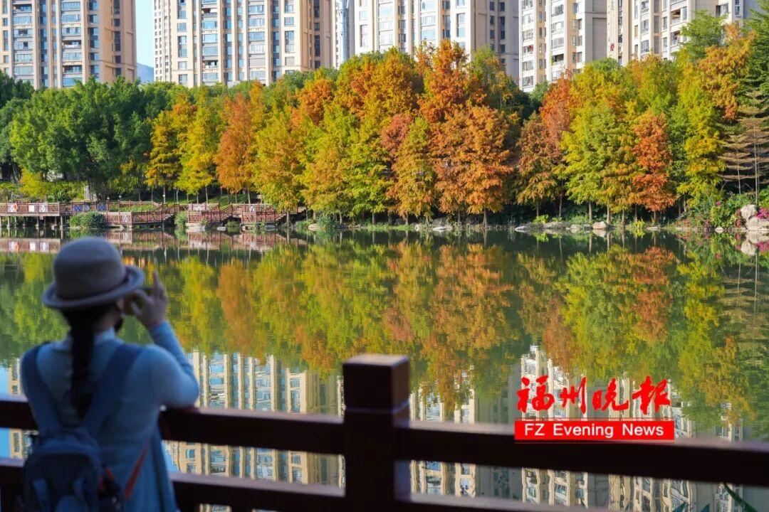 福州网红公园又火了！很多人正在赶去！