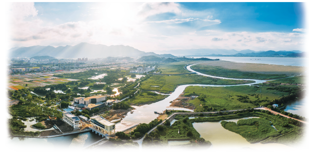 摘得世界级荣誉 福州湿地保护展现东方智慧