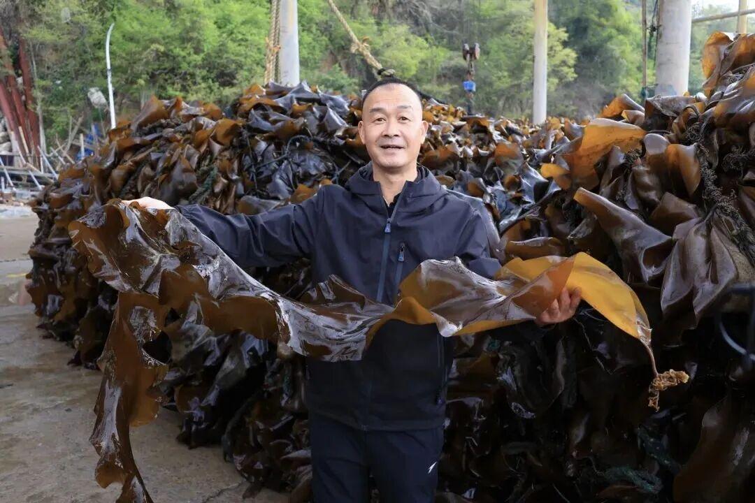 11万亩！全国40%来自福州这里