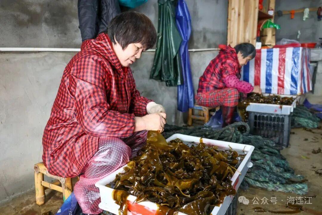 11万亩！全国40%来自福州这里