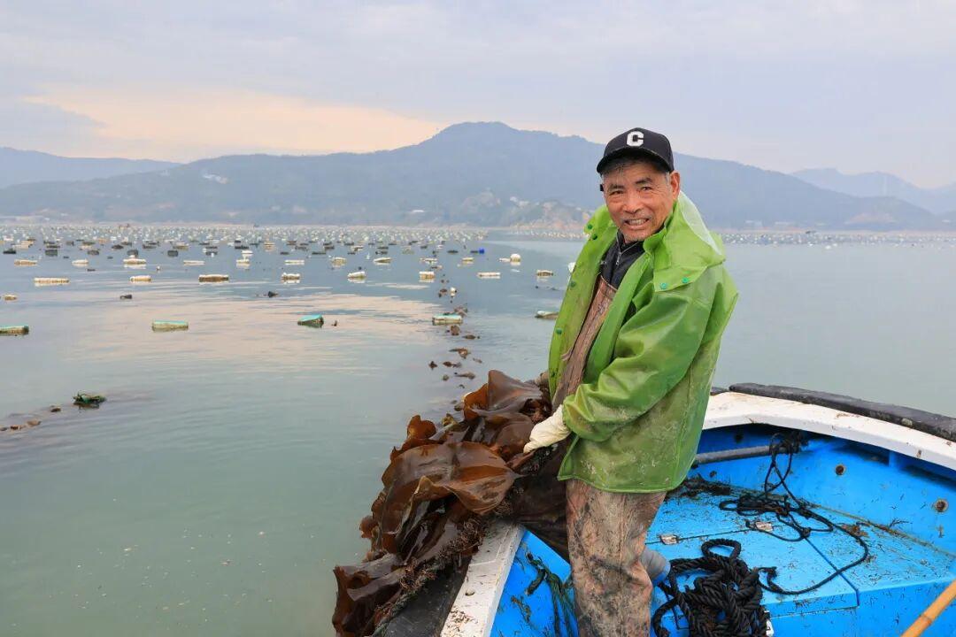 11万亩！全国40%来自福州这里