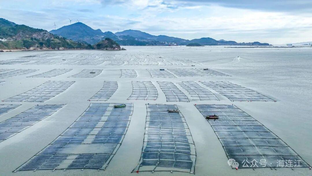 11万亩！全国40%来自福州这里