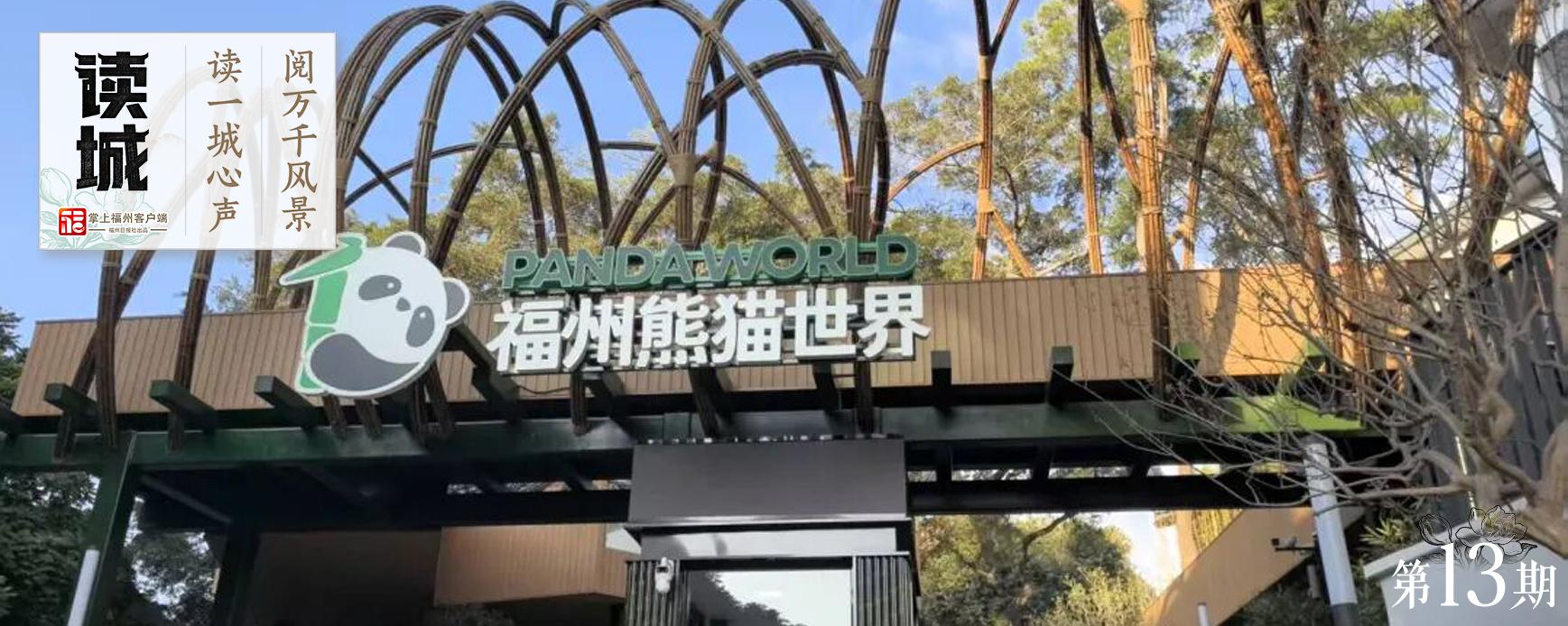 读城｜大熊猫+5！福州“胖达天团”点名啦→