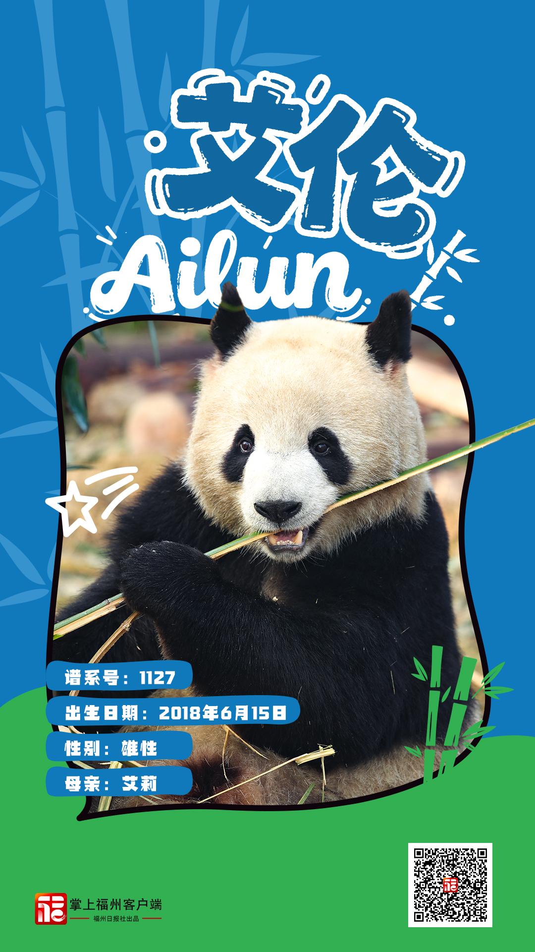 读城｜大熊猫+5！福州“胖达天团”点名啦→