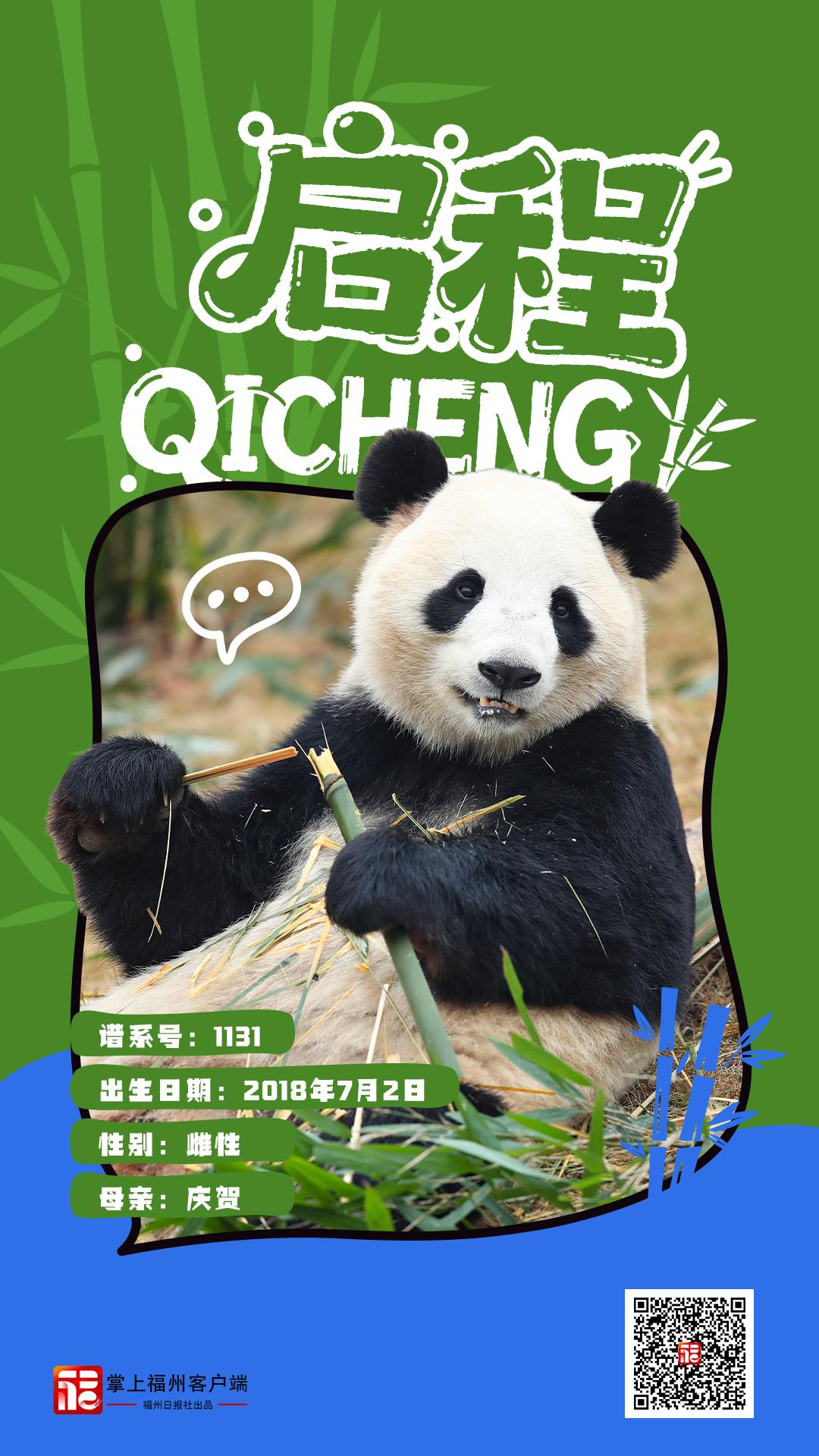 读城｜大熊猫+5！福州“胖达天团”点名啦→