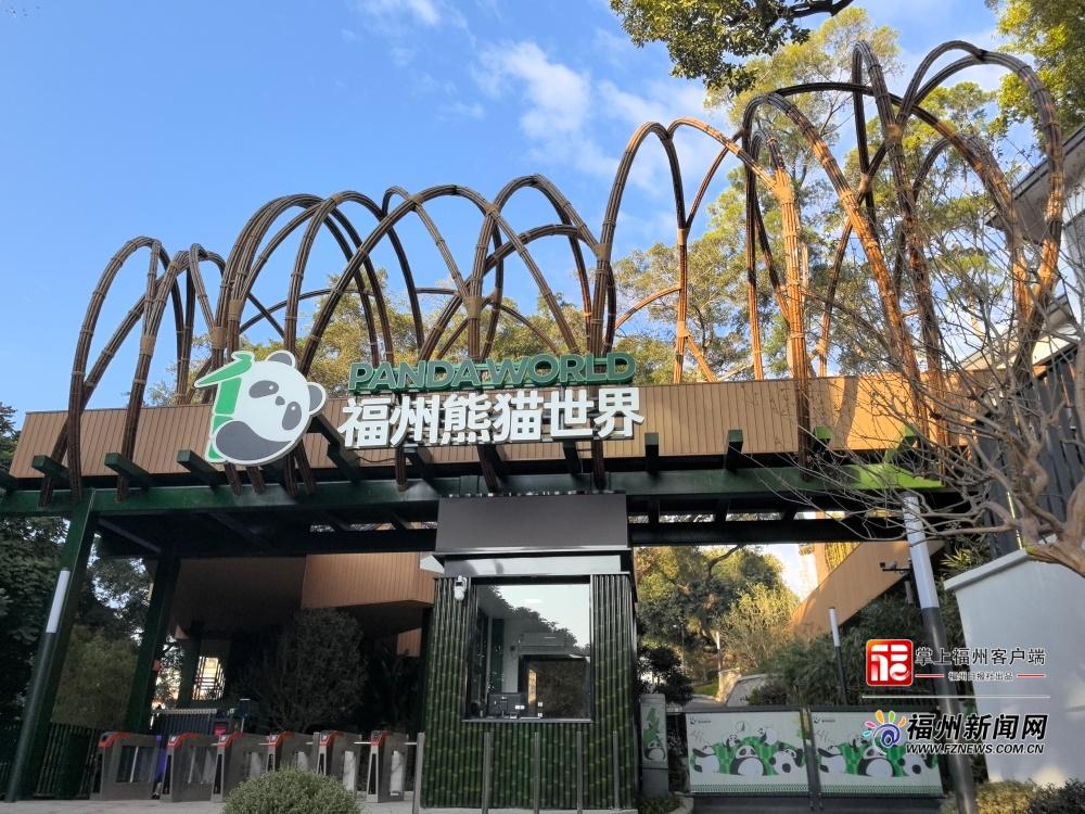 萌力来袭！五只大熊猫“空降”福州，很快就能见面啦