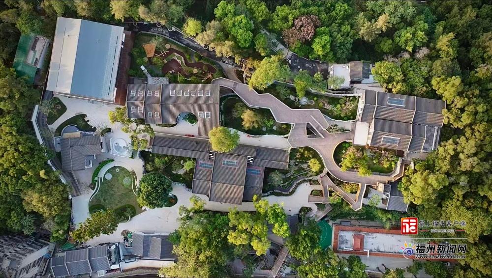 萌力来袭！五只大熊猫“空降”福州，很快就能见面啦