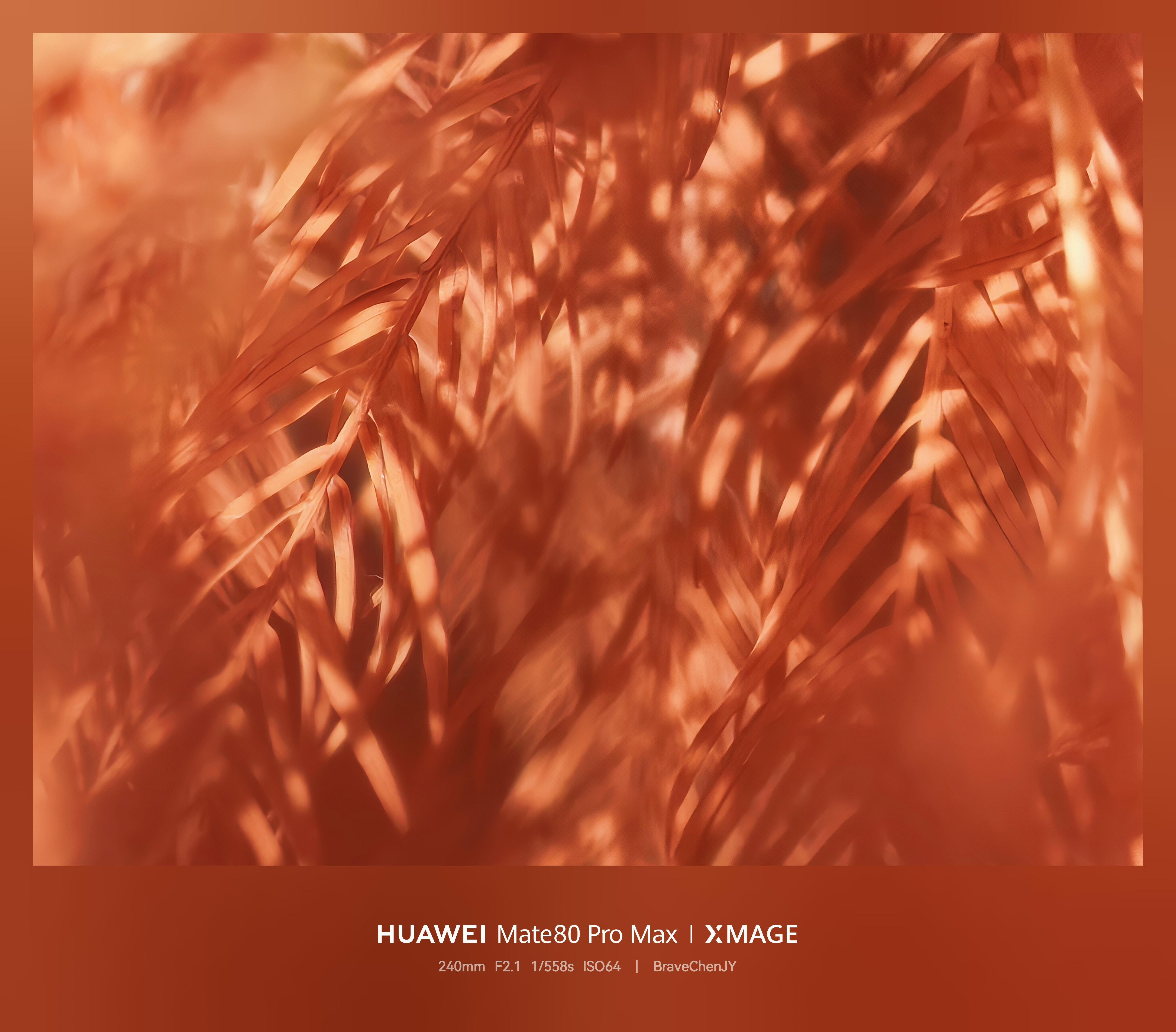 必修课|普通人也能拍“大片”?记者带你定格福州“冬季限定”红! 必修课|普通人也能拍“大片”?记者带你定格福州“冬季限定”红!