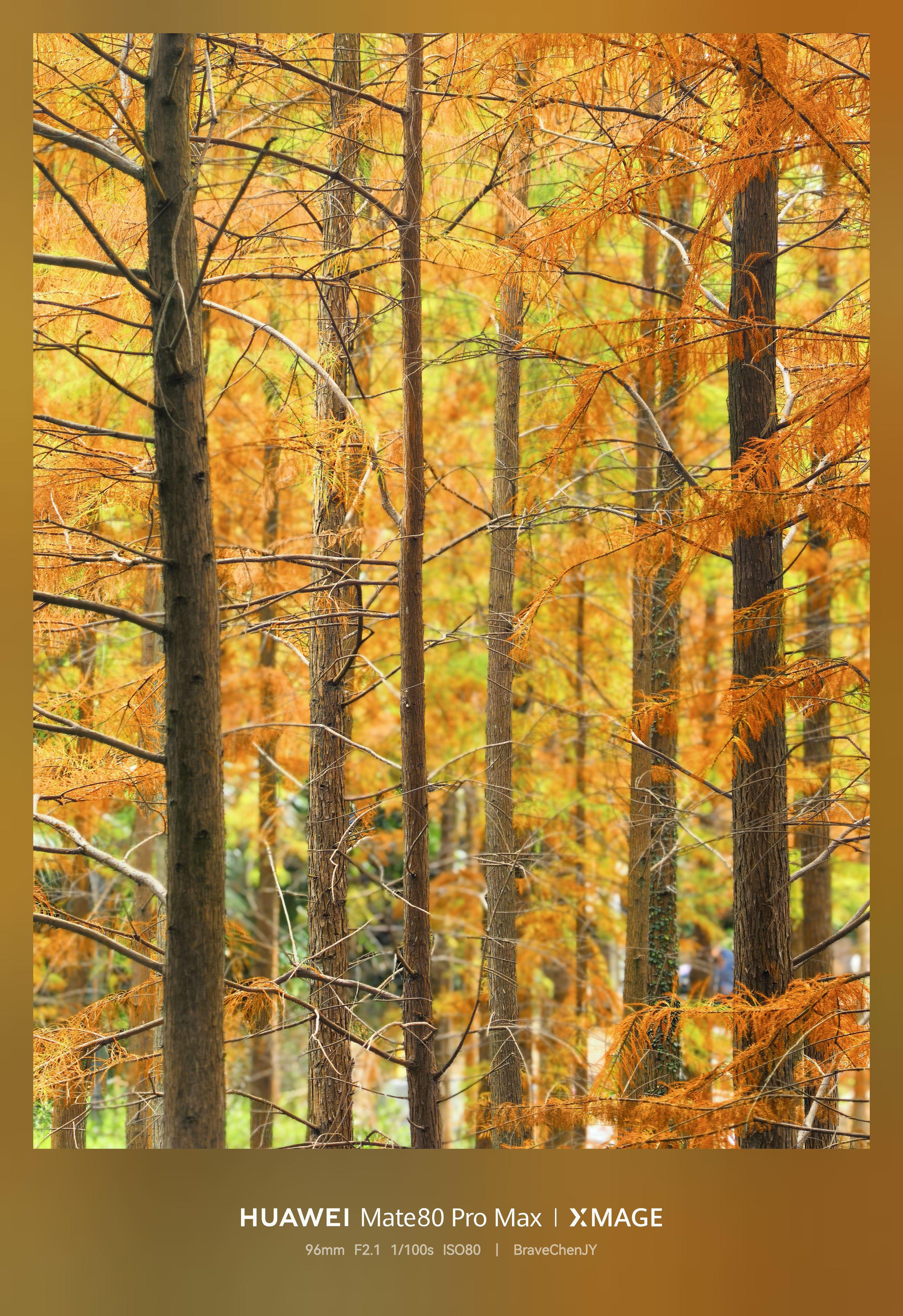 必修课|普通人也能拍“大片”?记者带你定格福州“冬季限定”红! 必修课|普通人也能拍“大片”?记者带你定格福州“冬季限定”红!