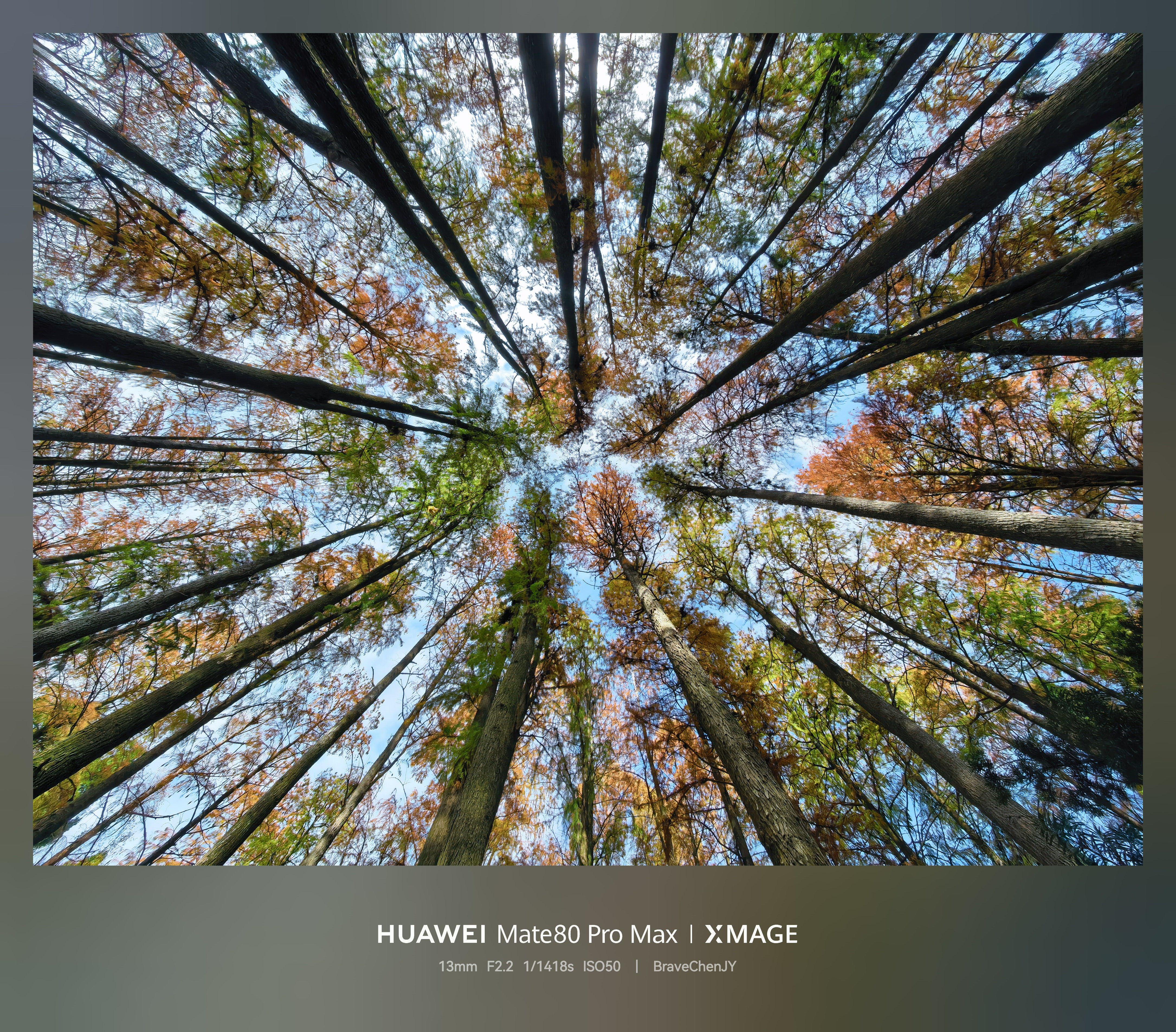 必修课|普通人也能拍“大片”?记者带你定格福州“冬季限定”红! 必修课|普通人也能拍“大片”?记者带你定格福州“冬季限定”红!