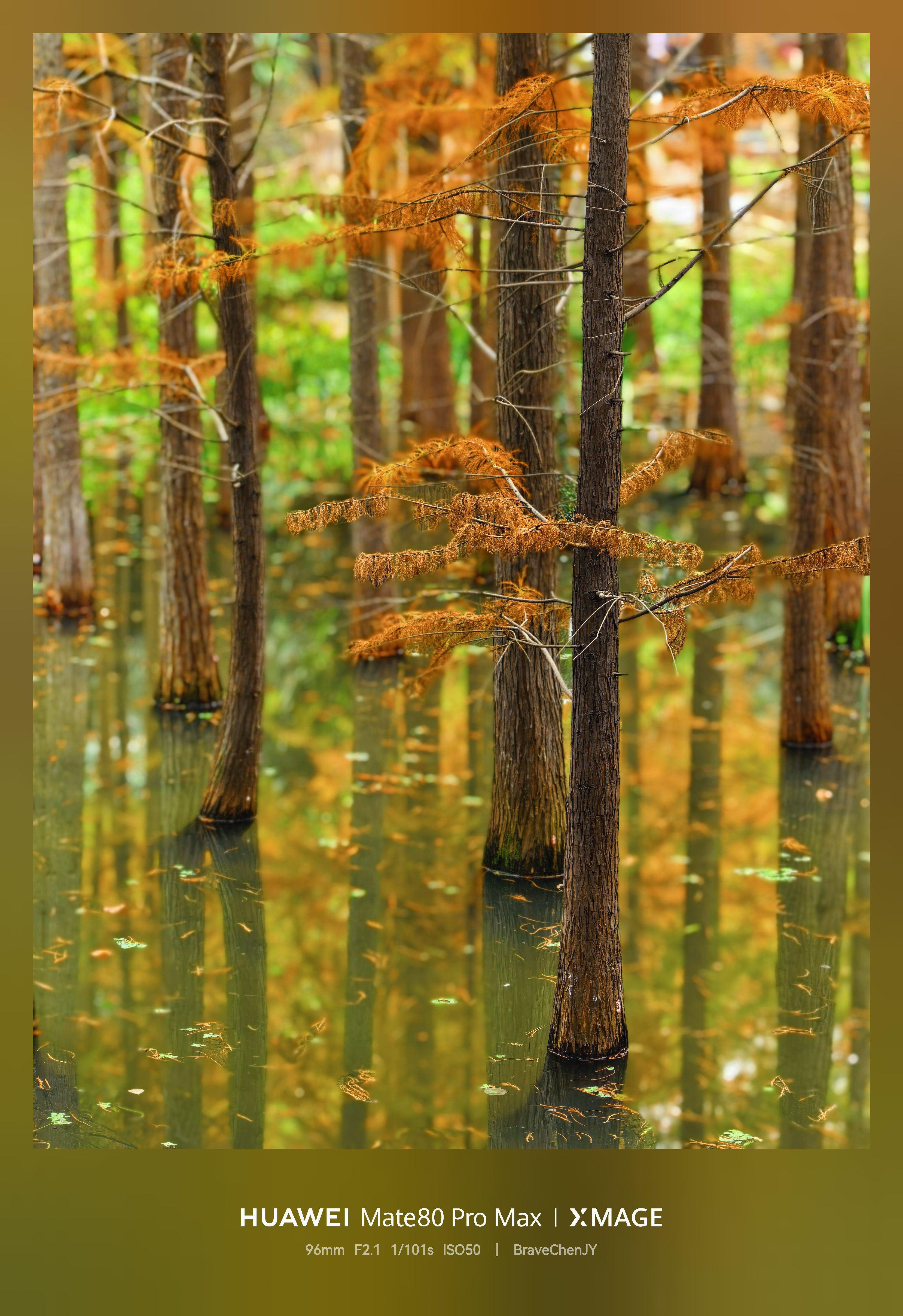 必修课|普通人也能拍“大片”?记者带你定格福州“冬季限定”红! 必修课|普通人也能拍“大片”?记者带你定格福州“冬季限定”红!