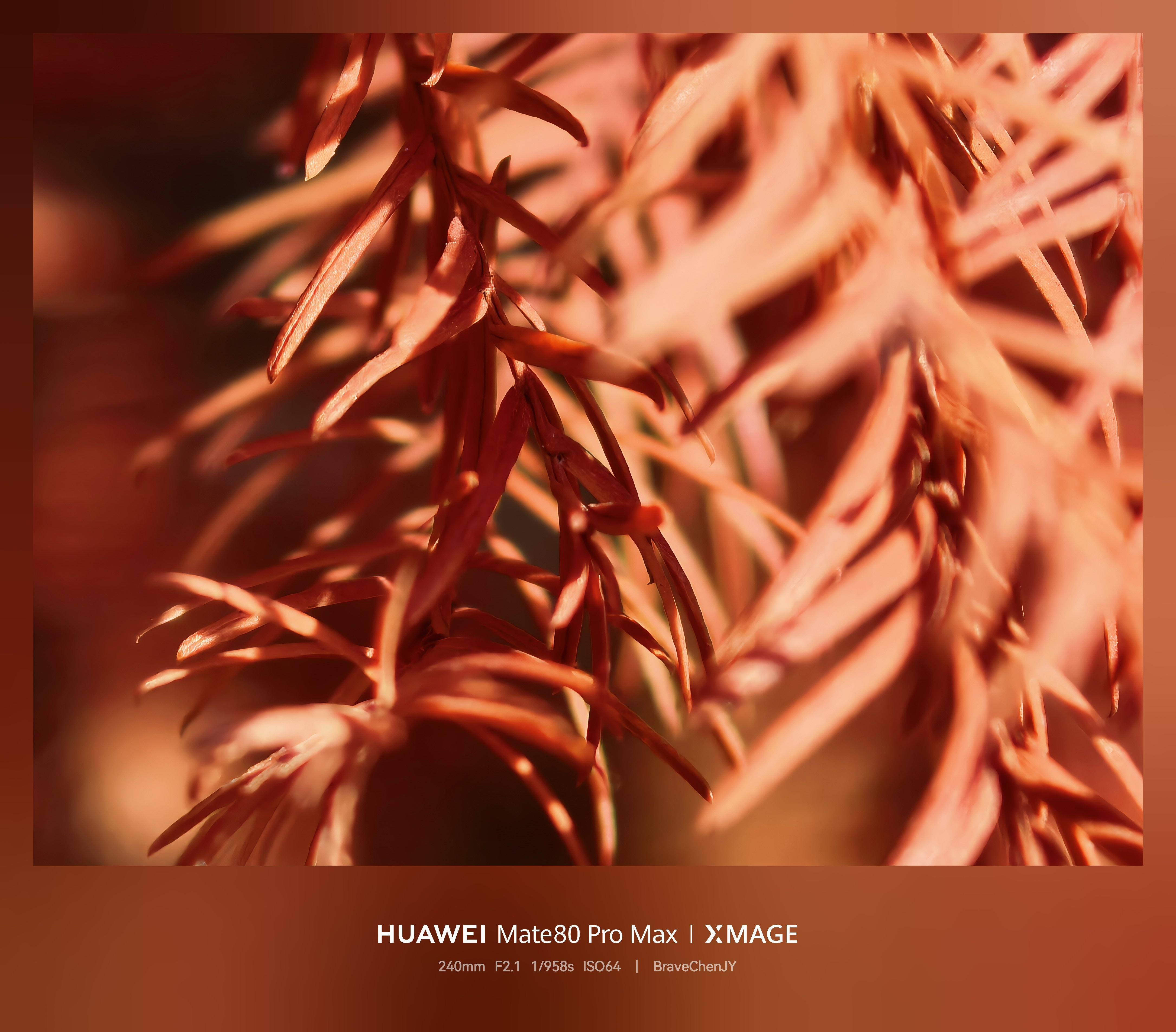 必修课|普通人也能拍“大片”?记者带你定格福州“冬季限定”红! 必修课|普通人也能拍“大片”?记者带你定格福州“冬季限定”红!