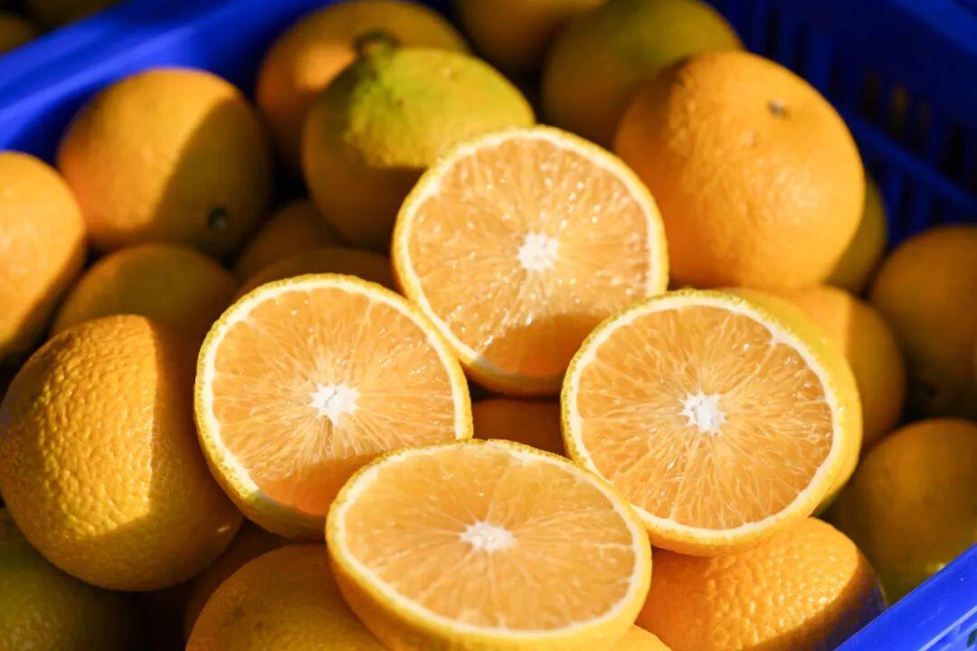 抢“鲜”上市！福州的冬天是水果味的！