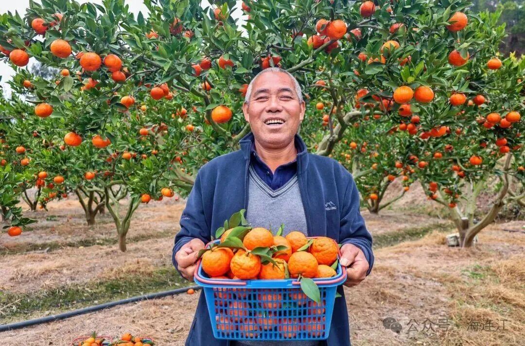 抢“鲜”上市！福州的冬天是水果味的！