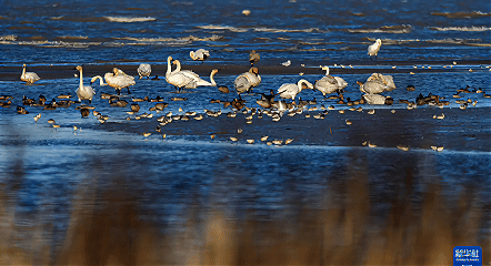 福州，更新中……