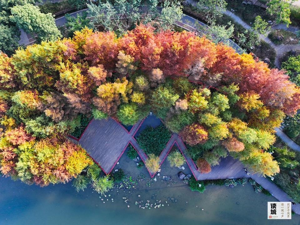 读城｜旧籍书影续文脉 重现福州古东湖