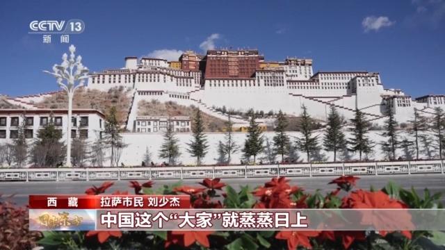 视频丨团结协作、踔厉奋发！习主席二〇二六年新年贺词引发热烈反响