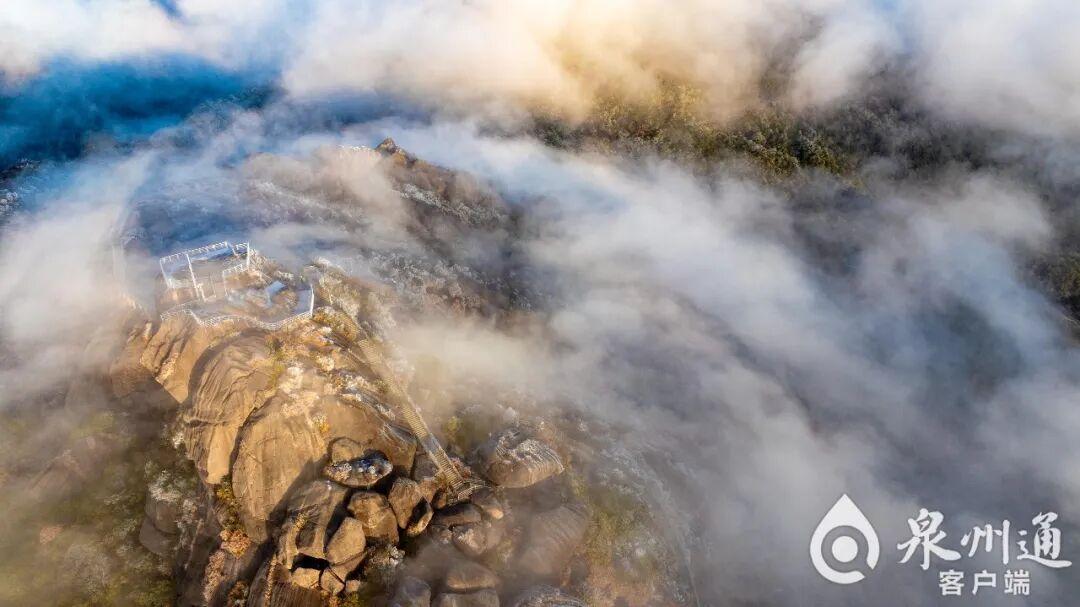 绝美！福建多地迎来2026年首场雾凇！