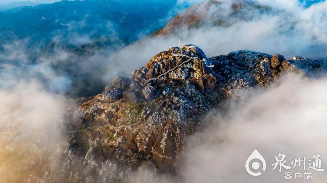 绝美！福建多地迎来2026年首场雾凇！