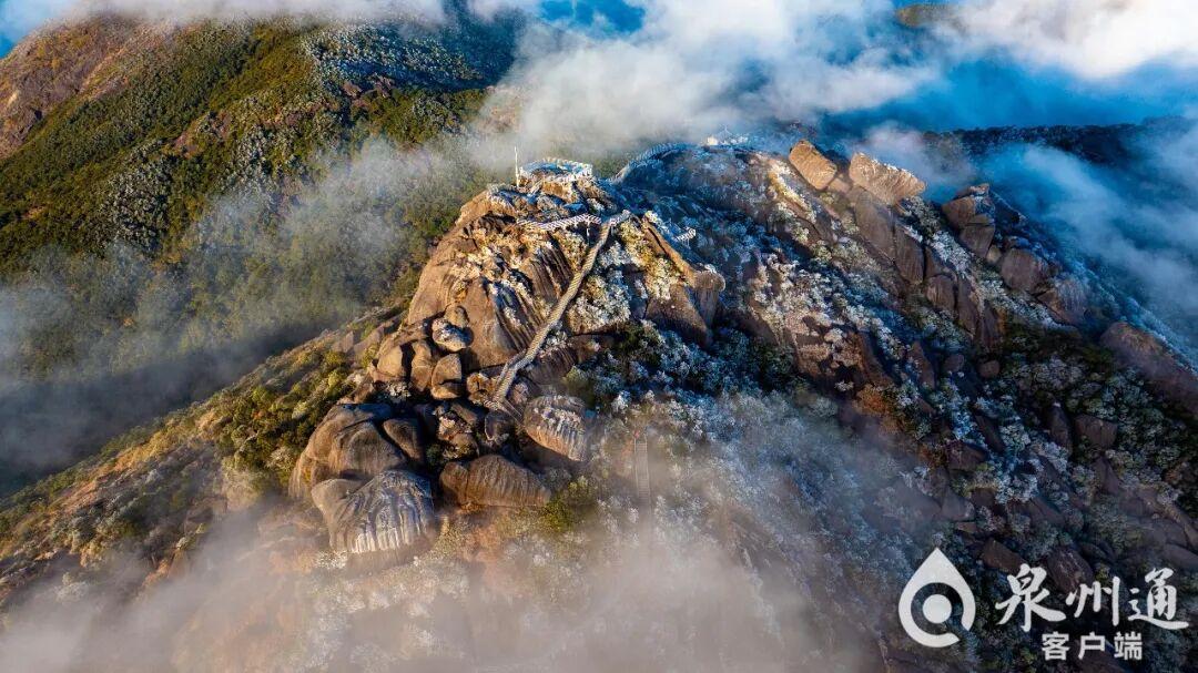 绝美！福建多地迎来2026年首场雾凇！