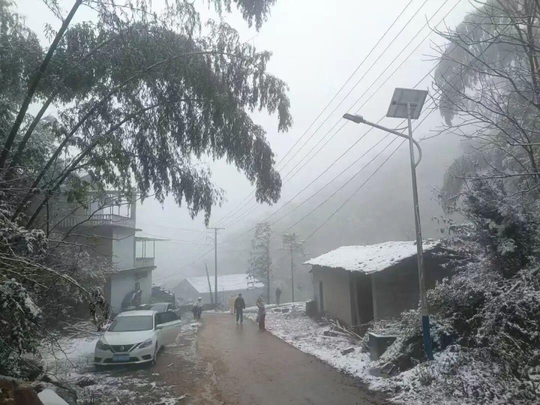 白茫茫一片！2026年福建第一场雪来啦
