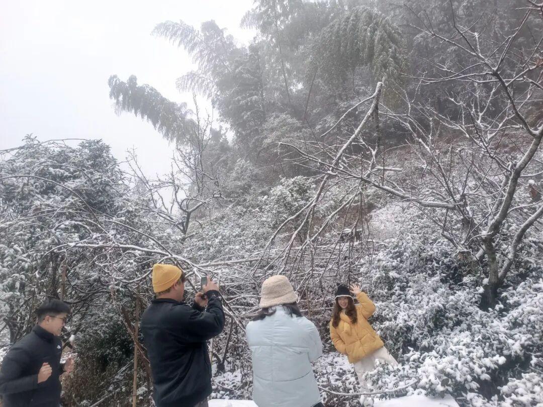 白茫茫一片！2026年福建第一场雪来啦