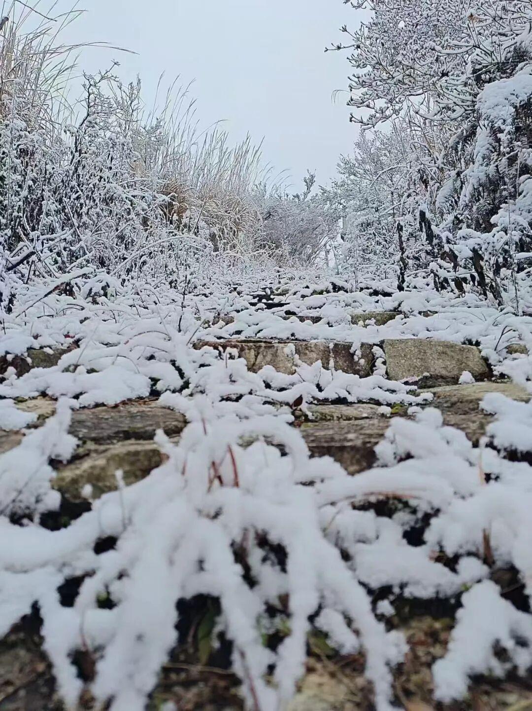 白茫茫一片！2026年福建第一场雪来啦