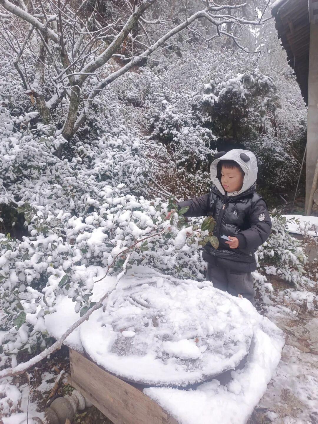 白茫茫一片！2026年福建第一场雪来啦