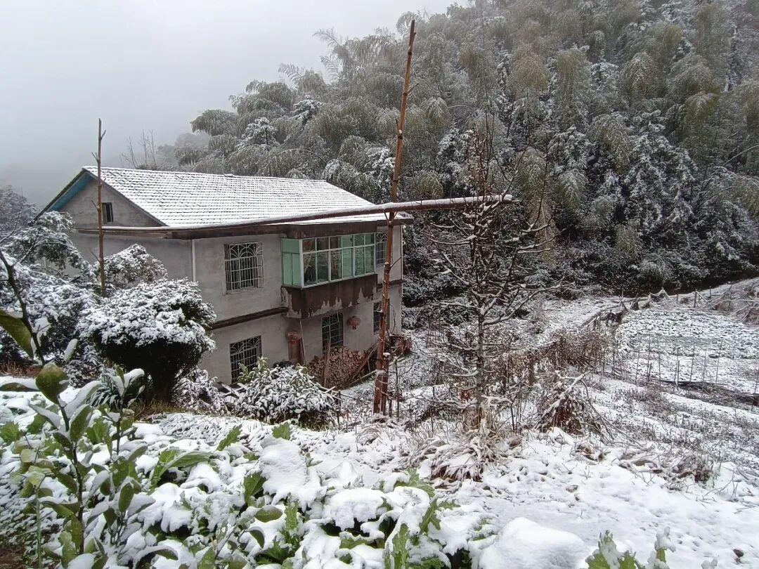 白茫茫一片！2026年福建第一场雪来啦