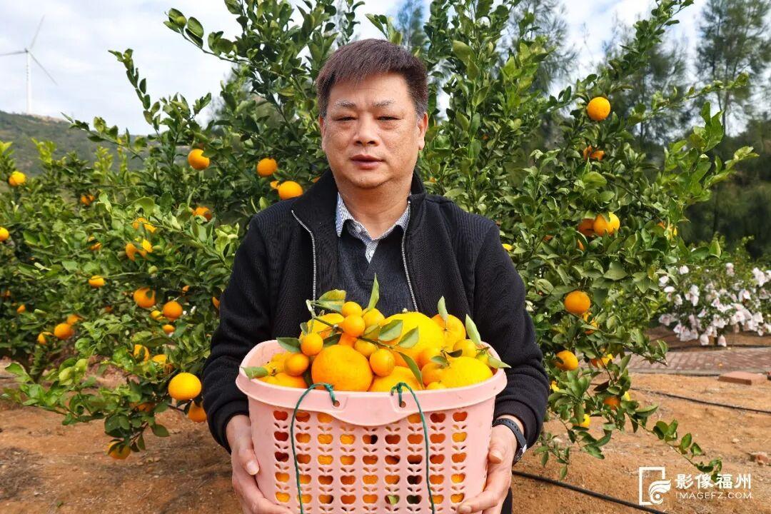 新鲜上市！福州这里的“冬日水果自由”来了！