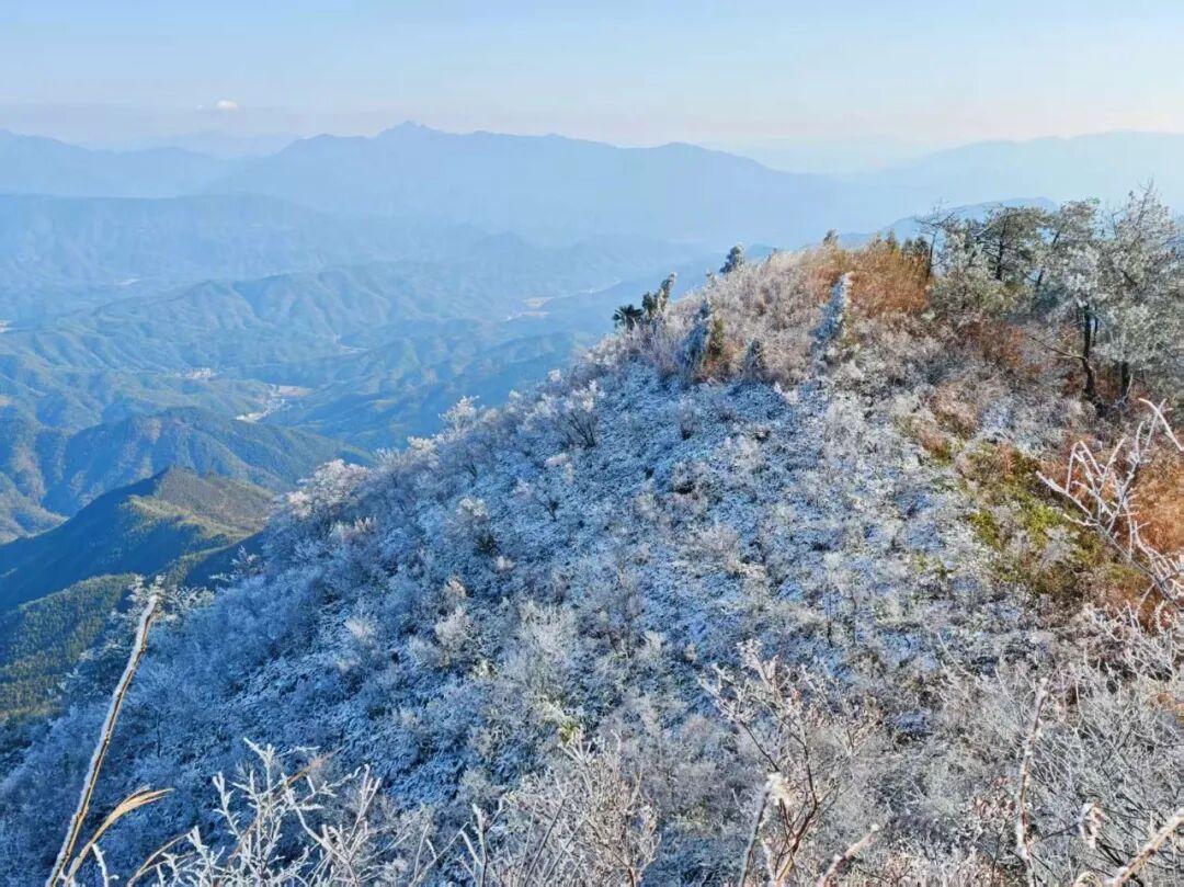 -2.3℃！福建又要下雪了！