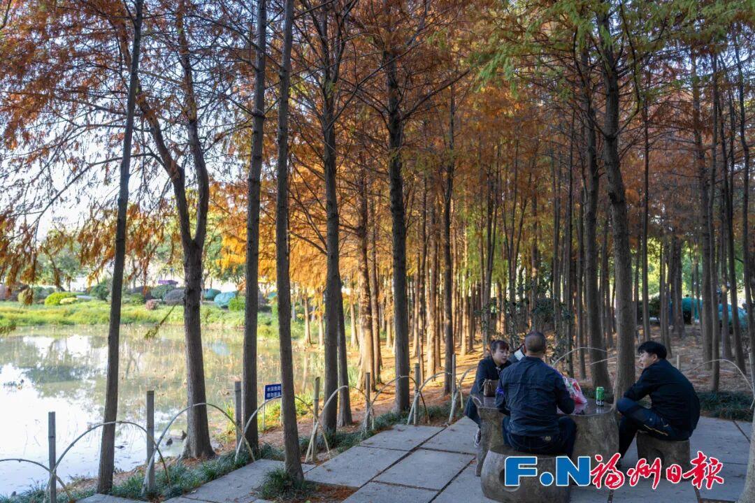 地铁直达！福州知名公园大升级！七彩“躺平椅”火了！