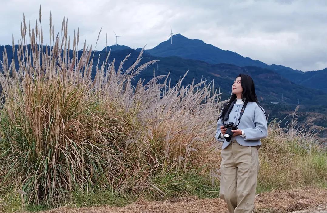 打卡去！福州这处公园芦苇茂盛成景！