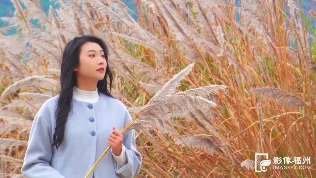 打卡去！福州这处公园芦苇茂盛成景！