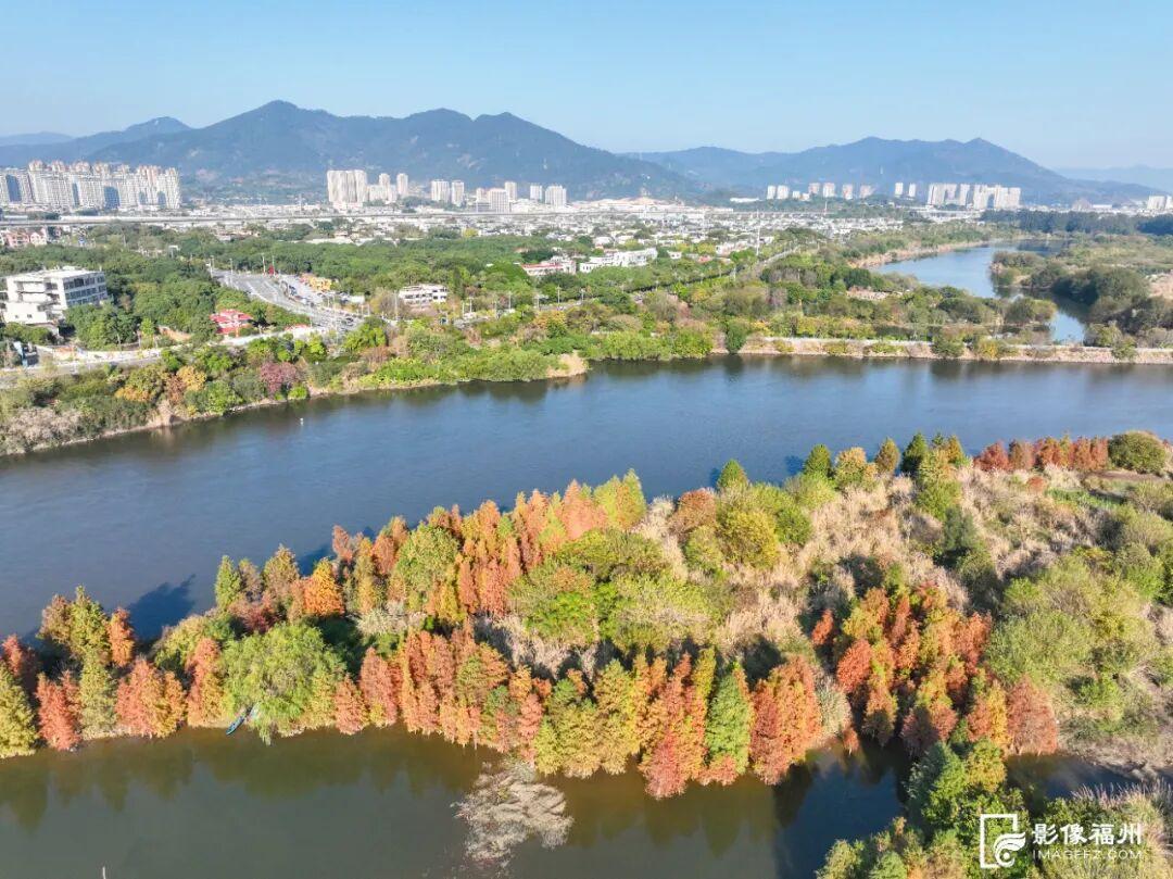 冬日童话！福州杉树观赏地图来了