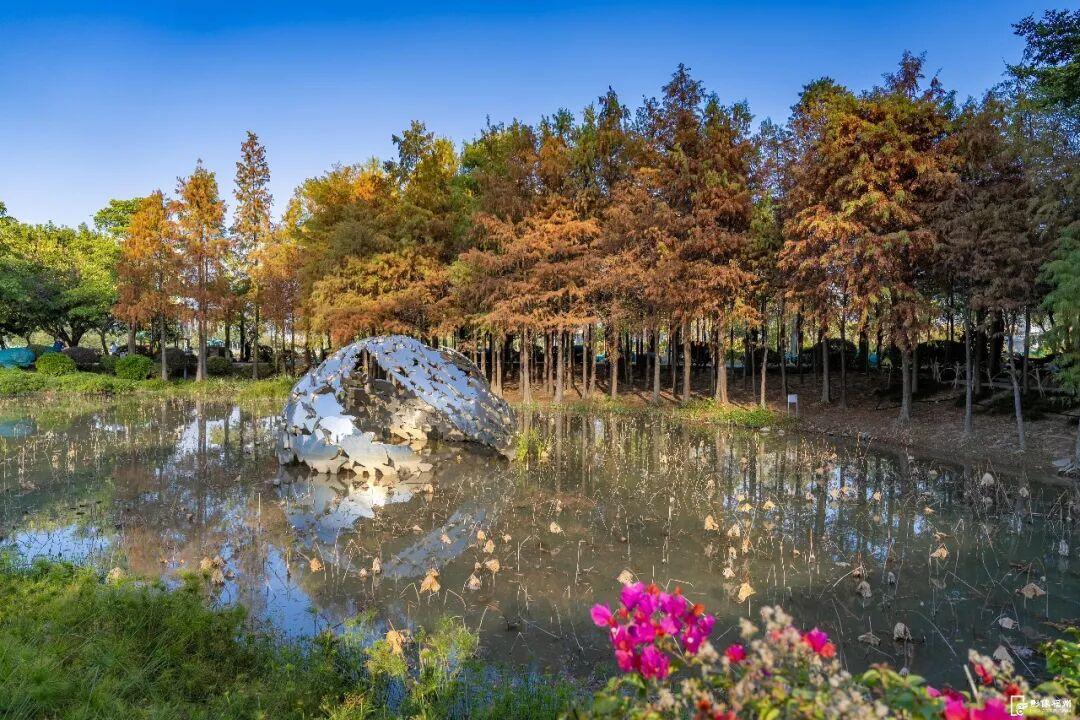 冬日童话！福州杉树观赏地图来了