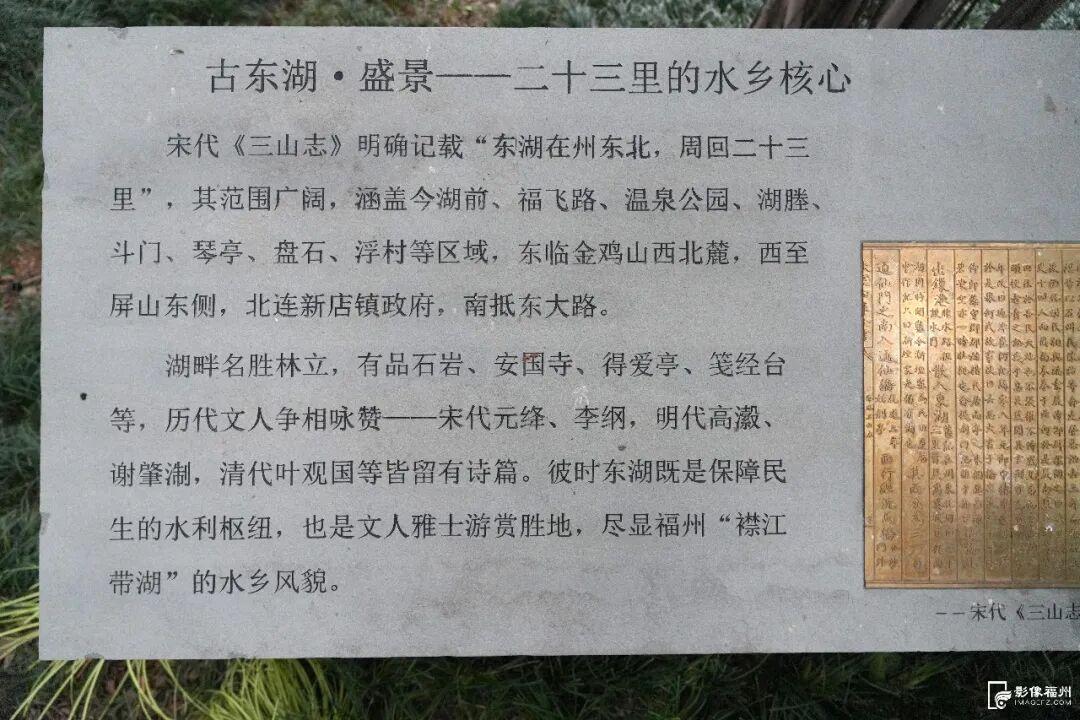 冬日童话！福州杉树观赏地图来了