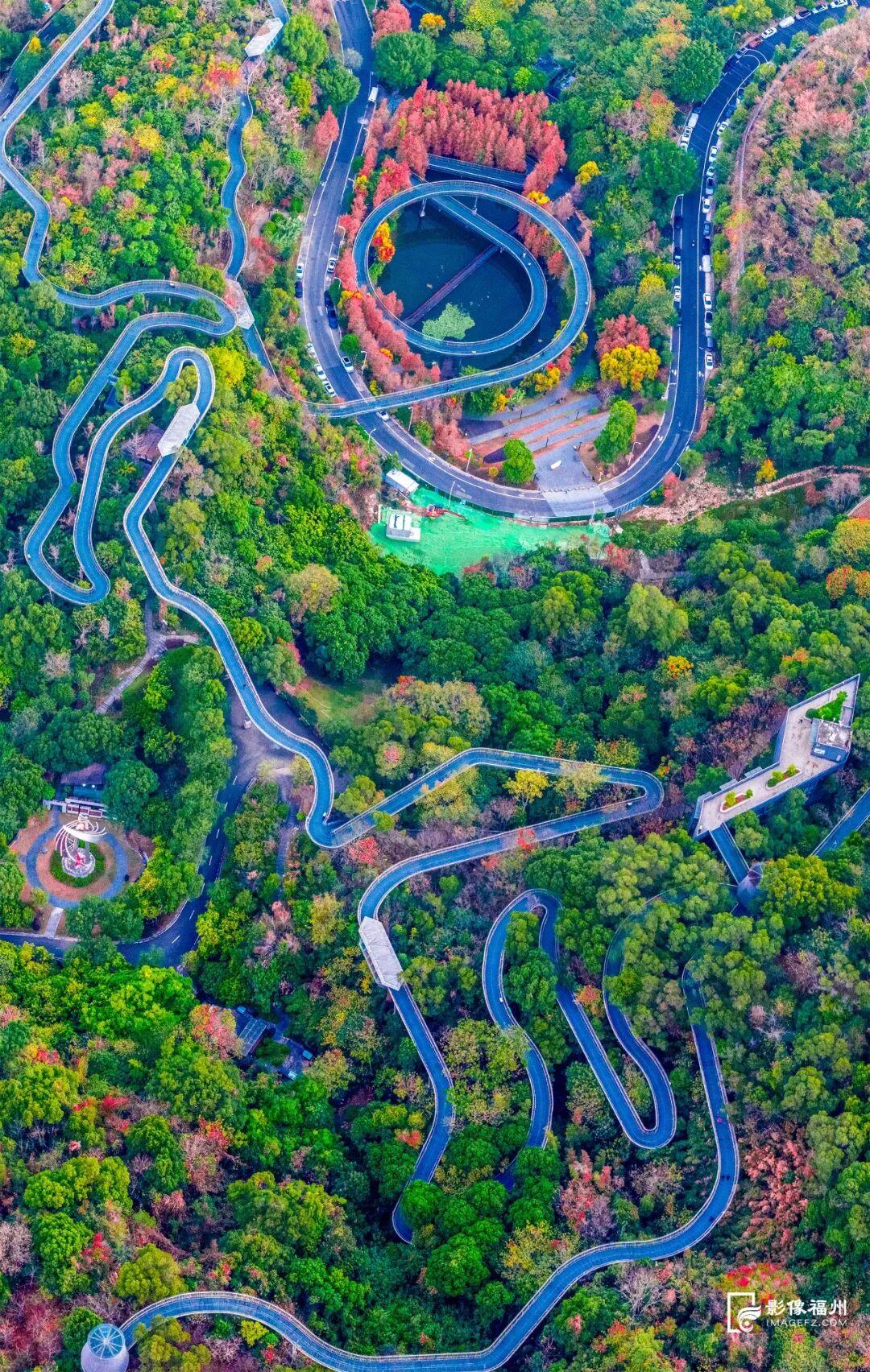 冬日童话！福州杉树观赏地图来了