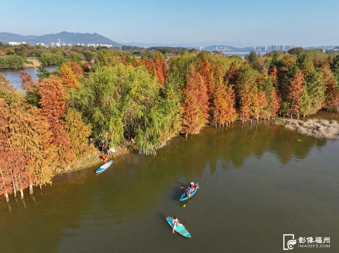冬日童话！福州杉树观赏地图来了