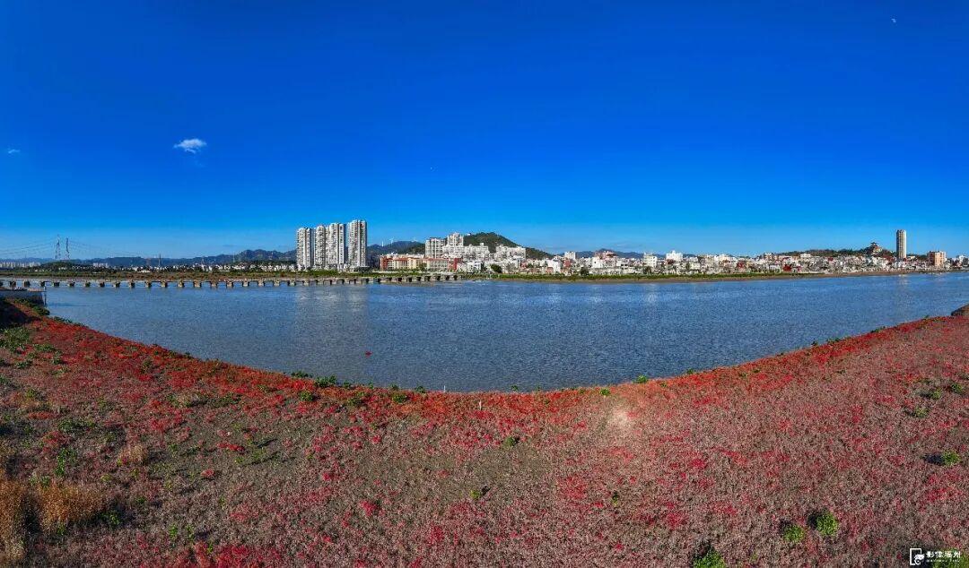 季节限定美景！福州这里“红”了