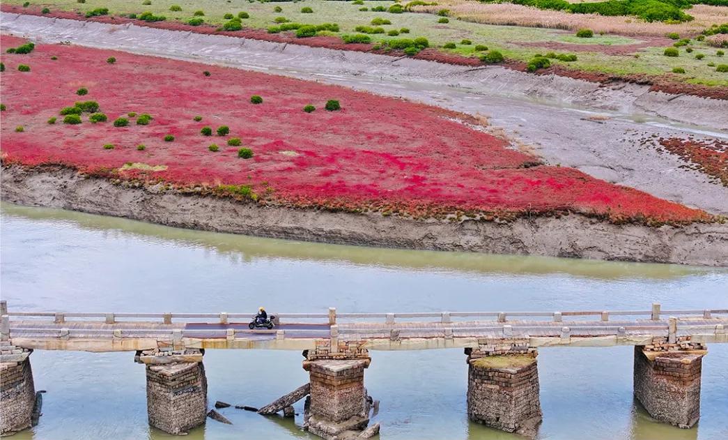 季节限定美景！福州这里“红”了