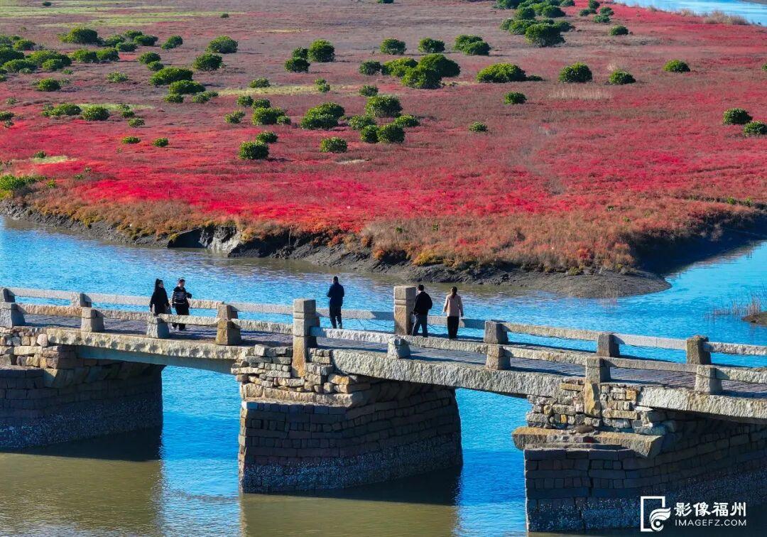 季节限定美景！福州这里“红”了