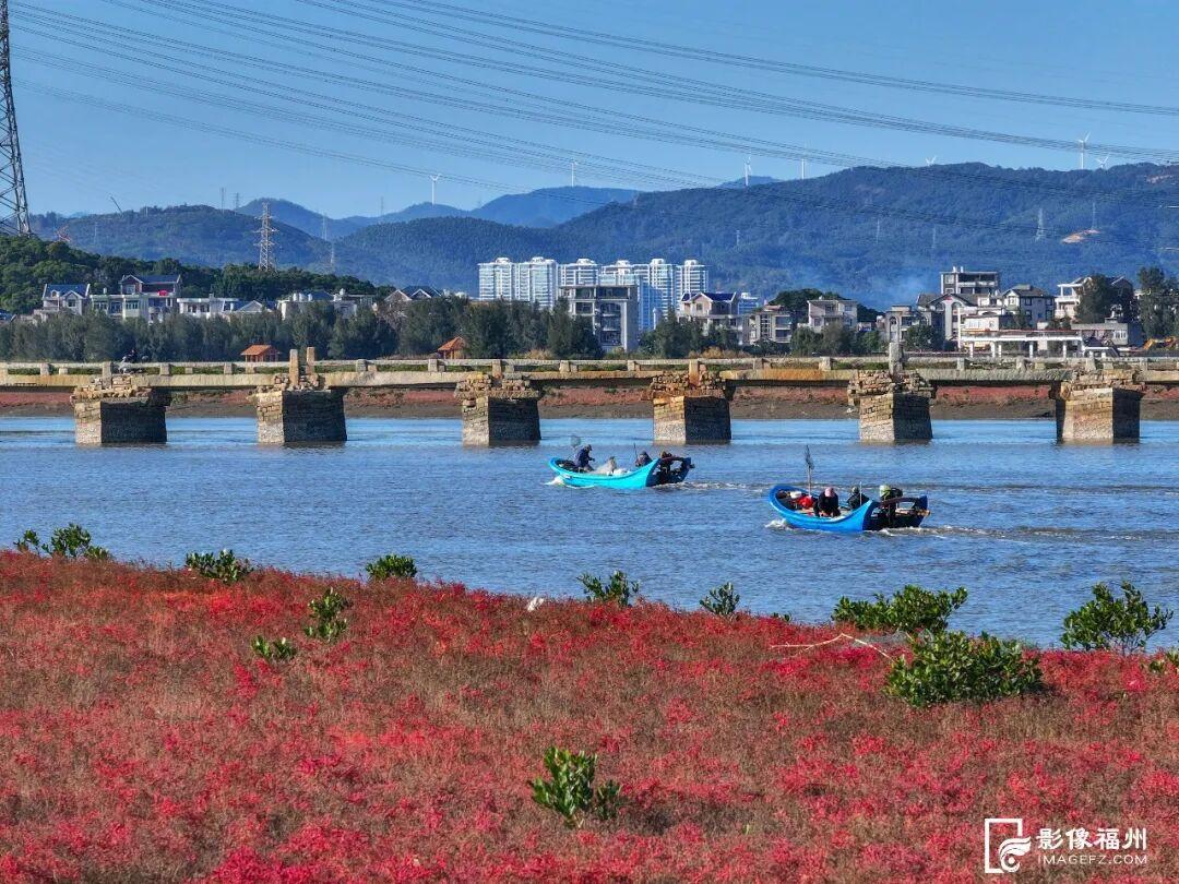 季节限定美景！福州这里“红”了