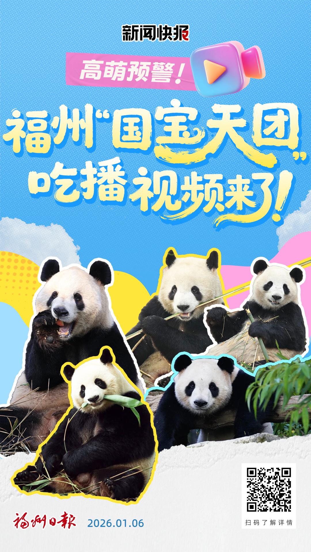 福州“国宝天团”吃播视频来了！