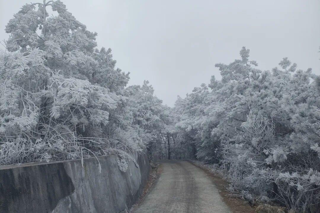 -1.2℃！部分地区结冰！福建发布72条预警！最冷的时候来了
