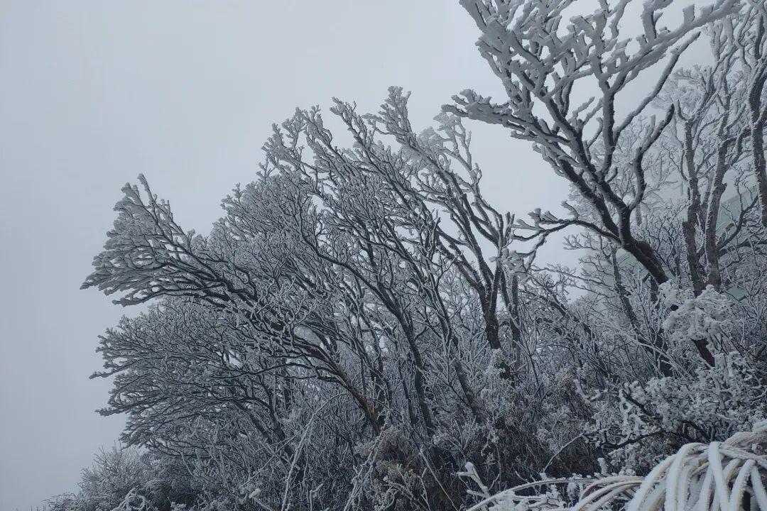 -1.2℃！部分地区结冰！福建发布72条预警！最冷的时候来了