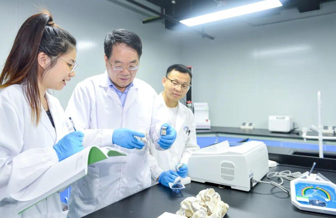 集采跑出福州“高新黑马”!拿下全国第二! 集采跑出福州“高新黑马”!拿下全国第二!