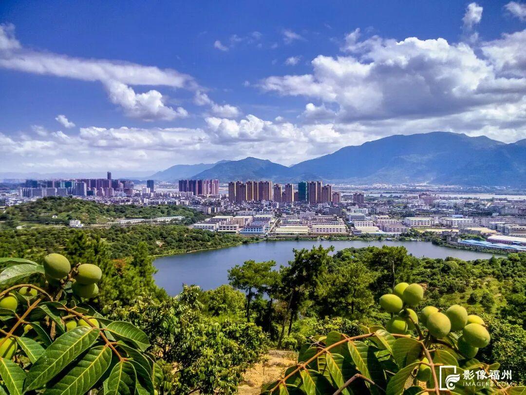 文化新地标！福州多个展馆开放