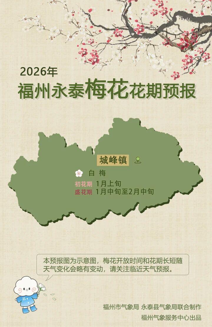 2026永泰梅花花期大揭秘！赏花秘籍速来get√